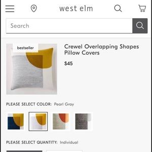 West Elm Accent Pillow Cover